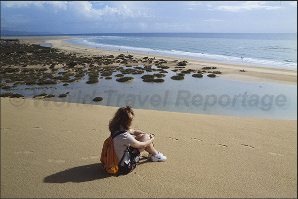 The high sand dunes that characterize the south east coast