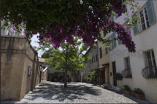 Grimaldi square