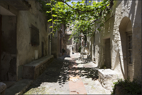 The ancient stone houses around the castle