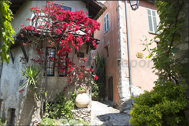 Rue de la Goulette leading to Grimaldi castle