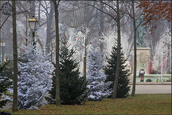 Colmar. During the period of the Christmas Markets, in the Champ de Mars square, you can buy Christmas trees of various types