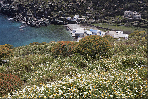 East Coast. Seralia bay with the fishing village East Coast. Seralia bay with the fishing village