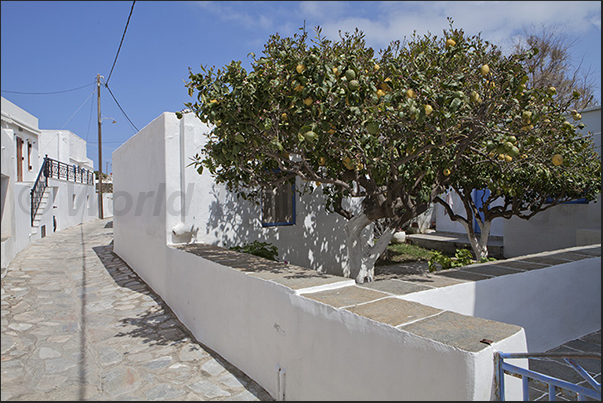 The streets of Apollonia, the capital of the island on the hills of the interior The streets of Apollonia, the capital of the island on the hills of the interior