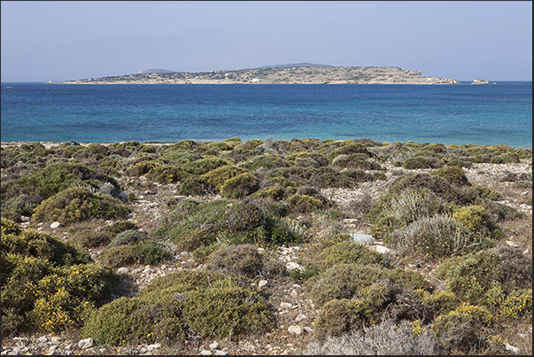 On the horizon the uninhabited island of Kato Koufonisi in front of the south coast of Koufonisi On the horizon the uninhabited island of Kato Koufonisi in front of the south coast of Koufonisi