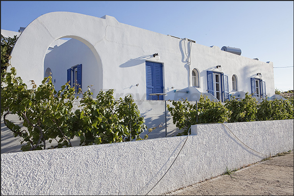 Each house on the island has a small flower garden all year round