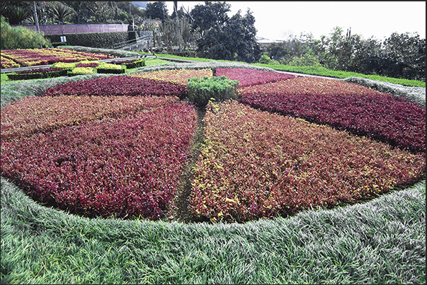Monte Botanical Garden in Funchal reached by cable car Monte Botanical Garden in Funchal reached by cable car