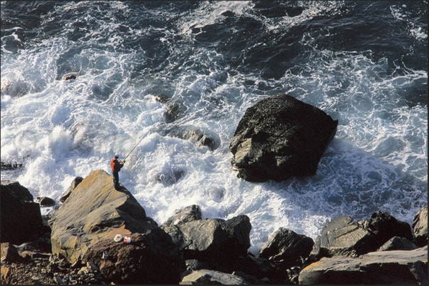 Cliffs of Madalena do Mar (south-west coast). Fisherman Cliffs of Madalena do Mar (south-west coast). Fisherman