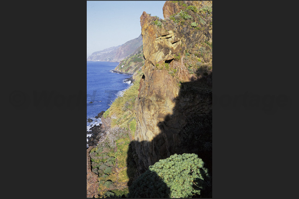 Cliffs of Madalena do Mar (south-west coast) Cliffs of Madalena do Mar (south-west coast)