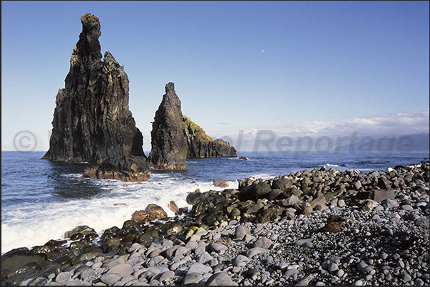 The stacks of the north coast at Ribera da Janela The stacks of the north coast at Ribera da Janela