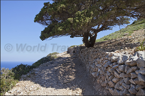 Path along the north coast leading to the caves of Polyphinos and Aghios Ioannis. Path along the north coast leading to the caves of Polyphinos and Aghios Ioannis.