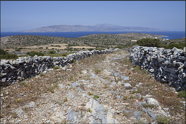Numerous paths cross the island. On the horizon the island of Naxos Numerous paths cross the island. On the horizon the island of Naxos