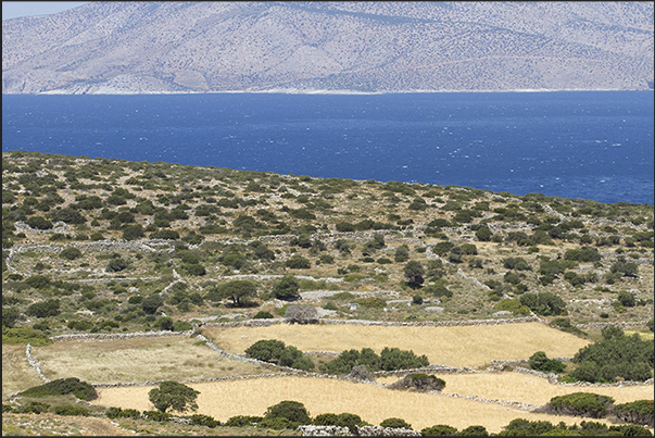 Cultivated fields on the coast in front of the island of Naxos Cultivated fields on the coast in front of the island of Naxos