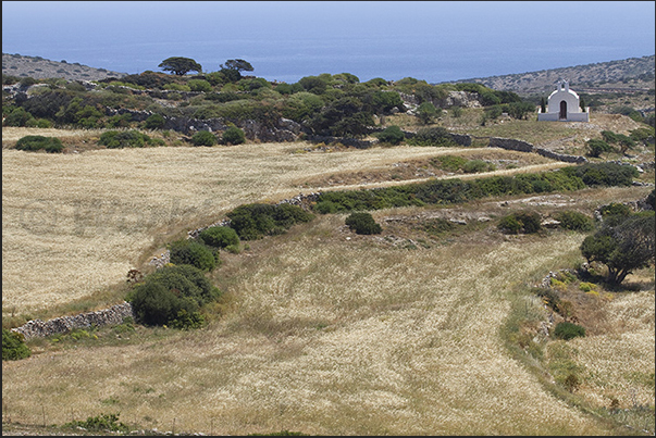 Cultivated fields inside the island