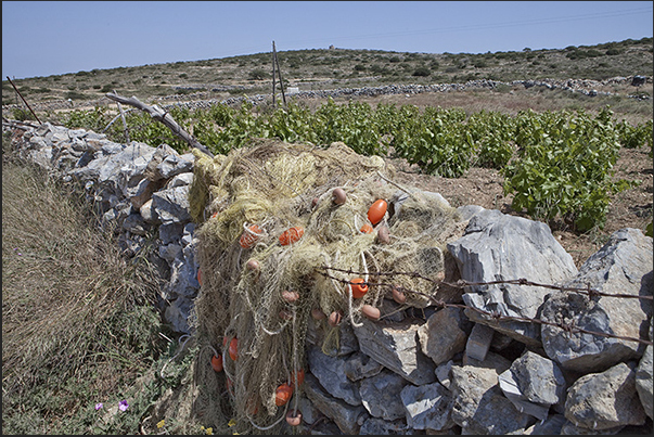 Fishing nets on a low wall that shelters a vineyard from the wind, these are the symbols of the island Fishing nets on a low wall that shelters a vineyard from the wind, these are the symbols of the island
