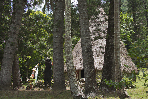 South west coast. The great home of the Petit Couli tribe