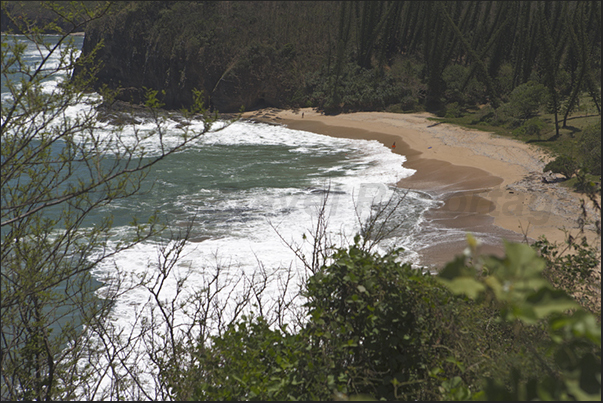 West coast. Turtle Bay in the Gouaro Bay. West coast. Turtle Bay in the Gouaro Bay.