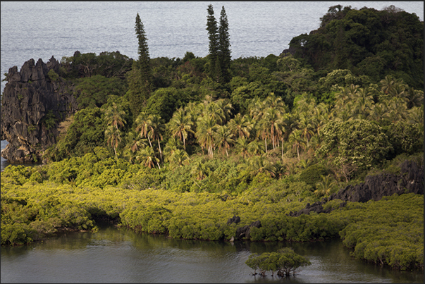 East Coast. The Hienghène Bay. The tropical forest around the bay. East Coast. The Hienghène Bay. The tropical forest around the bay.