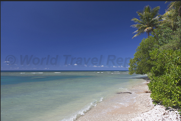 East coast. The beaches near Poindimié town East coast. The beaches near Poindimié town