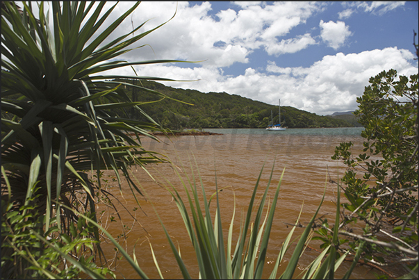 South coast. Prony Bay. The mud carried by rivers crossing the red earths, color the sea water South coast. Prony Bay. The mud carried by rivers crossing the red earths, color the sea water