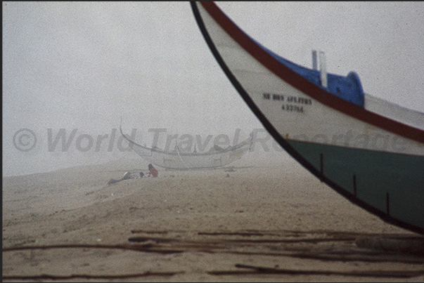 The fishing boats look like phoenix boats capable of dealing with the big waves that break on the beaches of the coast The fishing boats look like phoenix boats capable of dealing with the big waves that break on the beaches of the coast