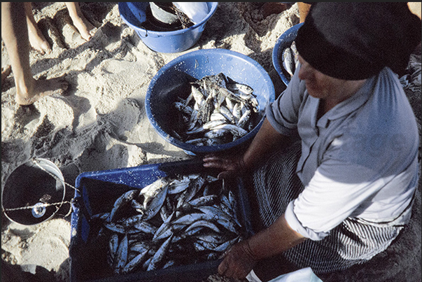 At the end of the day, the fishermen's families share the catch