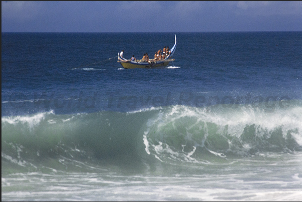 Start fishing in the calm sea area beyond the crashing waves