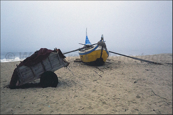 The carts with fishing nets arrive The carts with fishing nets arrive