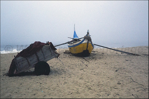 The carts with fishing nets arrive