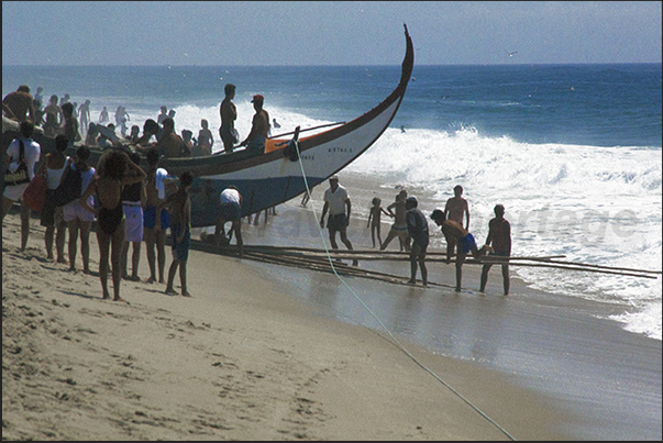 The fishermen prepare the slipways to help the oxen slide the boats into the sea