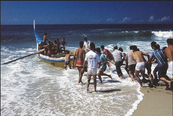 The wave is coming and everyone is pushing the boat but without the oxen it would have been impossible to get the boat there