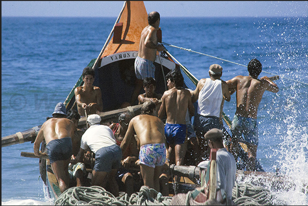 Six men push on the oars while the young men pull on the ropes or oars to help maneuver