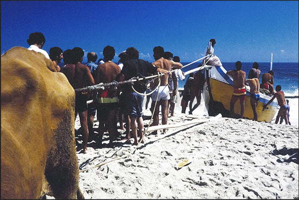 The long pole used by fishermen's families to push the boat into the sea is used The long pole used by fishermen's families to push the boat into the sea is used