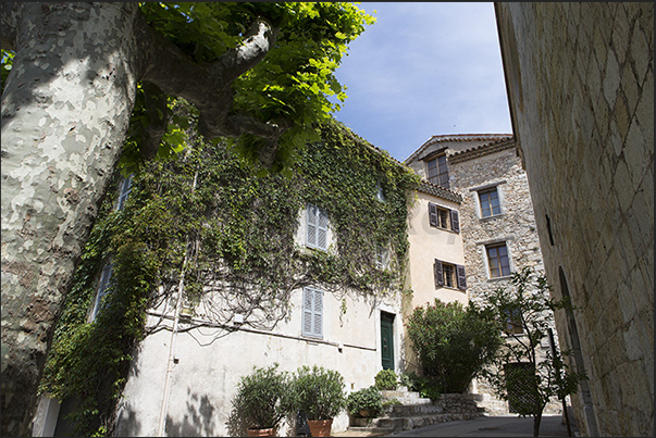 Rue de l'Église and on the right side, the facade of the church of Saint Jacques le Majeur Rue de l'Église and on the right side, the facade of the church of Saint Jacques le Majeur