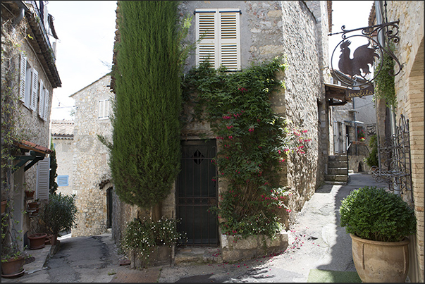 Art galleries in the alleys of the historic centre