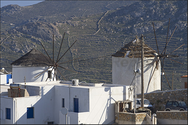 In the background, the terraced crops that once fed the windmills of Chora with grain In the background, the terraced crops that once fed the windmills of Chora with grain