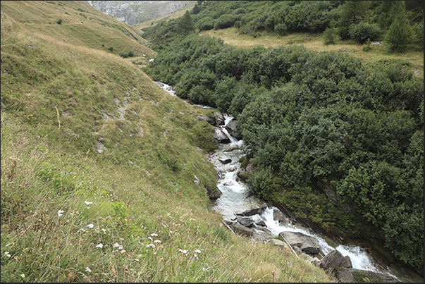 Rochemolles torrent which gives its name to the valley before entering the dam basin Rochemolles torrent which gives its name to the valley before entering the dam basin
