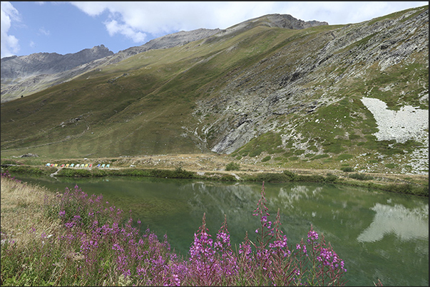 Small lake on the Grange du Fond plateau in front of the Scarfiotti refuge (2,165 m). Small lake on the Grange du Fond plateau in front of the Scarfiotti refuge (2,165 m).