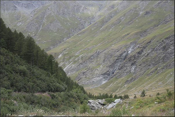 Beyond the dam the woods give way to pastures