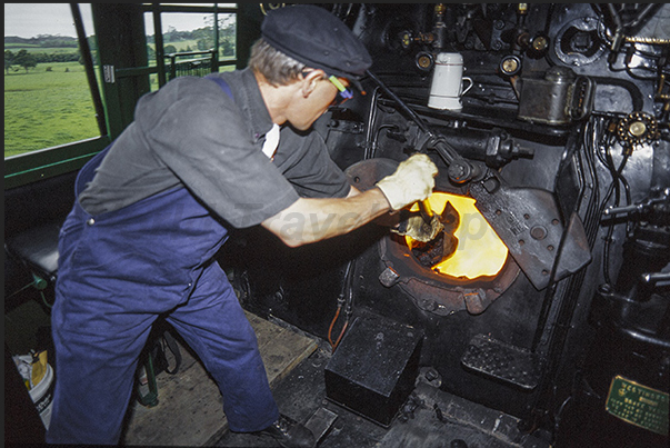 The engineer feeds the locomotive's boiler with shovelfuls of coal.