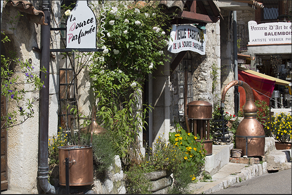 Rue Principale. Distillery and resale of typical wines and liqueurs