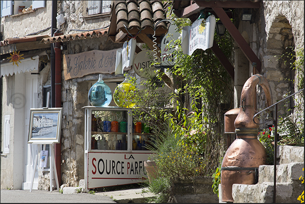 Rue Principale. Distillery and resale of typical wines and liqueurs