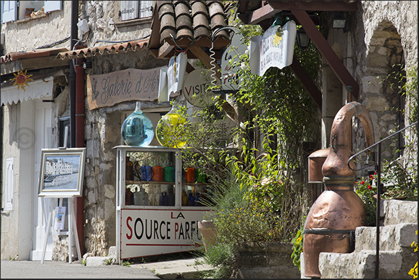 Rue Principale. Distillery and resale of typical wines and liqueurs Rue Principale. Distillery and resale of typical wines and liqueurs