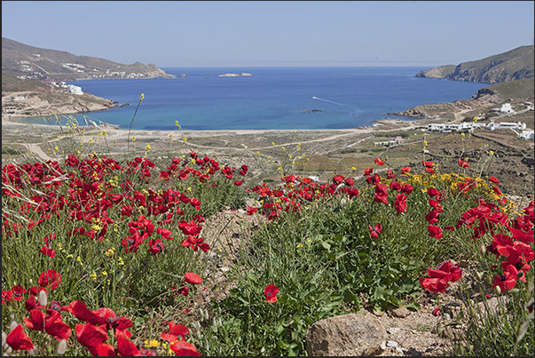 North coast. Panormos bay North coast. Panormos bay
