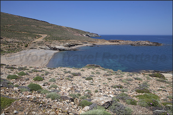 East Coast. Tighani Bay. The beach East Coast. Tighani Bay. The beach