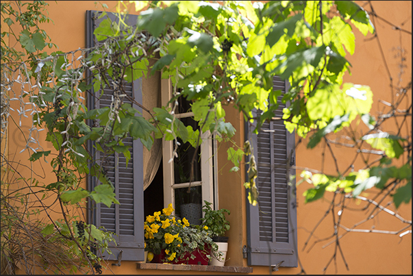 Vases of flowers decorate the windows in the streets of the village Vases of flowers decorate the windows in the streets of the village