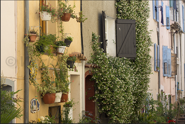 Floral arrangements in the streets of the village Floral arrangements in the streets of the village