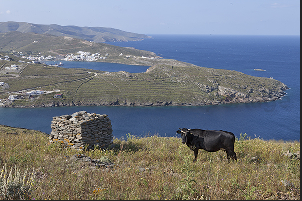In the background the bay of the port of Merichas, the port of arrival of the ferries In the background the bay of the port of Merichas, the port of arrival of the ferries