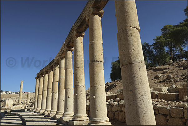 The large oval square with the colonnade The large oval square with the colonnade