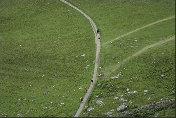 Paths run along the cliffs of the northern tip of the island Paths run along the cliffs of the northern tip of the island