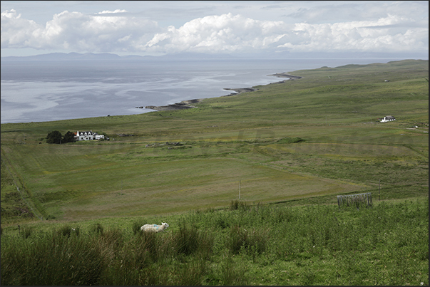 Pastures on the north-eastern coast of the island Pastures on the north-eastern coast of the island
